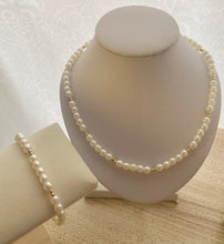 Load image into Gallery viewer, Dorada