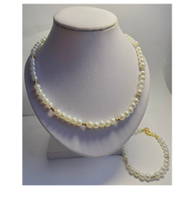 Load image into Gallery viewer, Dorada